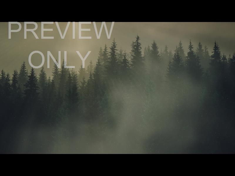 LUMBERJACK DAD DUSK STILL