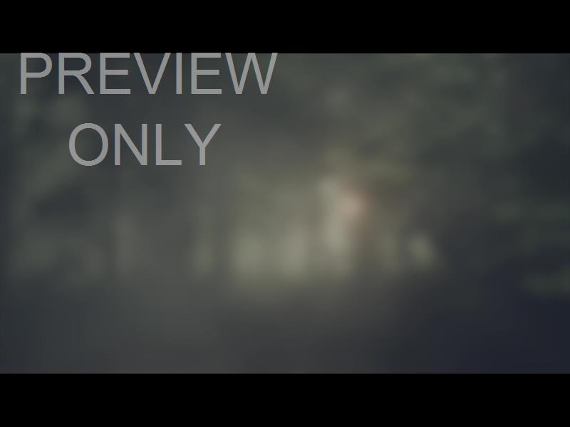 LUMBERJACK DAD FOGGY ALT STILL