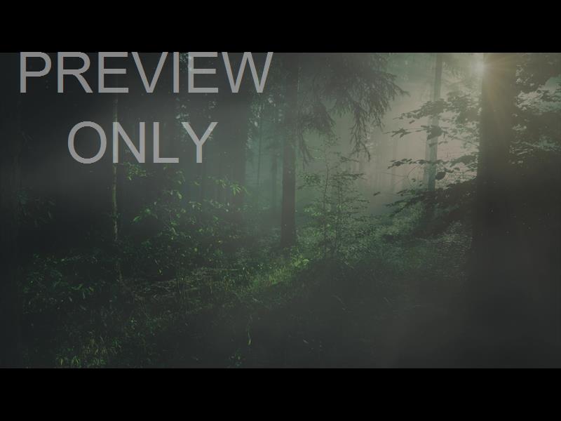 LUMBERJACK DAD RAYS STILL