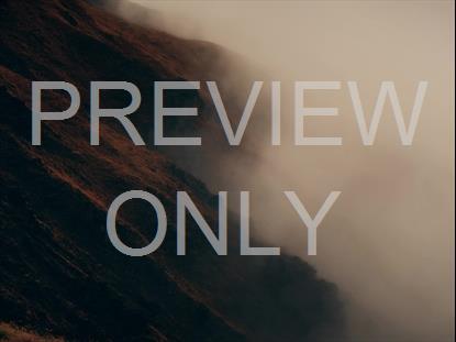 MISTY LENT HILL STILL