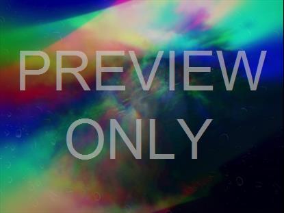 MISTY LENT SHORELINE SHIFT STILL