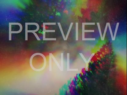 MISTY LENT VISTA SHIFT STILL