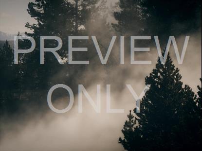 MISTY LENT VISTA STILL