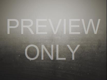 MISTY WATER OCEAN BLANK STILL