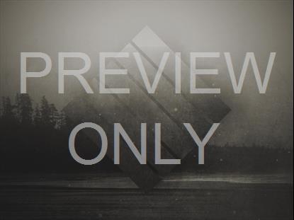 MISTY WATER SHORE BLANK STILL