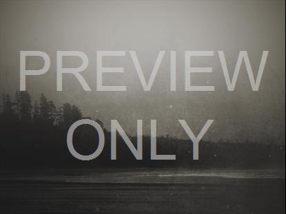 MISTY WATER SHORE GRIDLESS STILL