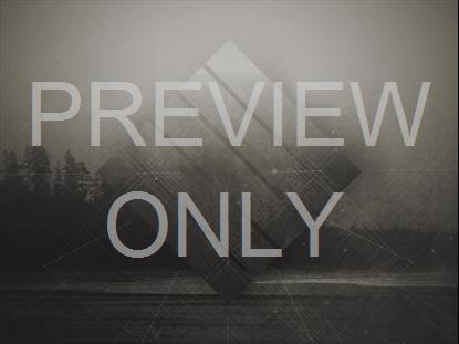 MISTY WATER SHORE STILL