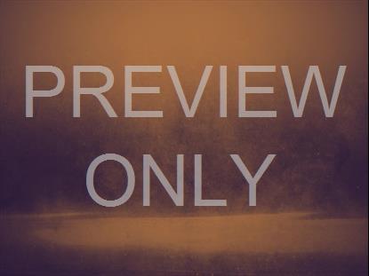 MISTY WATER SIMPLIFY TINT BLANK STILL