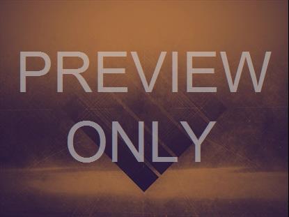 MISTY WATER SIMPLIFY TINT STILL