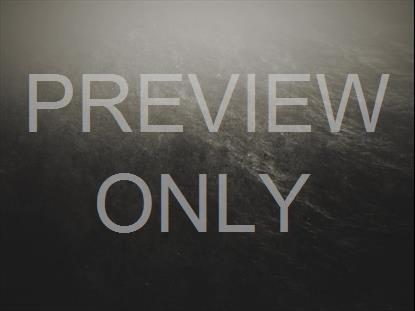 MISTY WATER WAVES GRIDLESS STILL