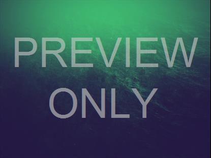 MISTY WATER WAVES TINT BLANK STILL