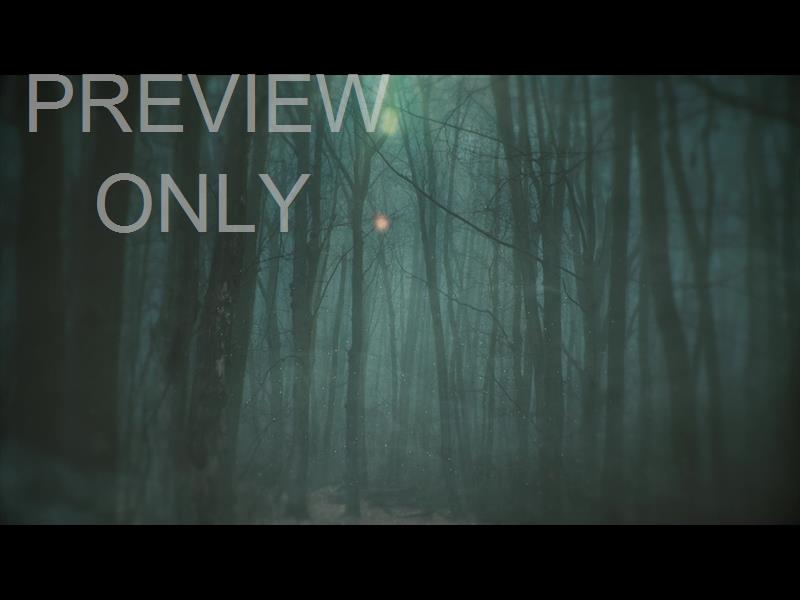 MOODY AUTUMN FOGGY STILL