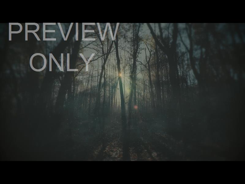 MOODY AUTUMN INTERIOR STILL