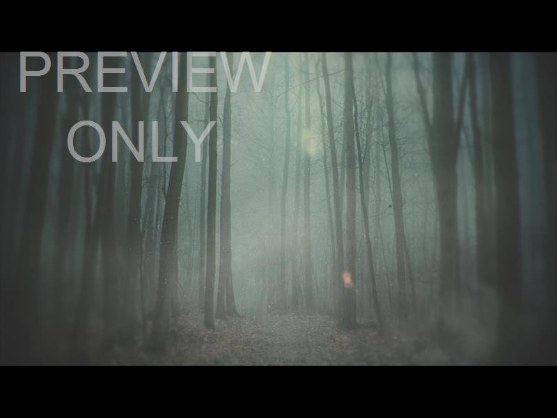 MOODY AUTUMN MISTY STILL