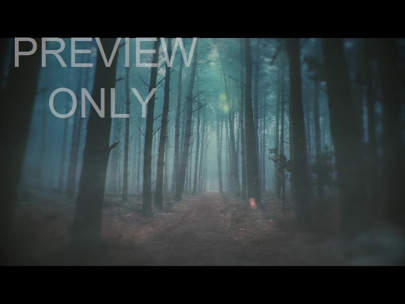 MOODY AUTUMN PATH STILL