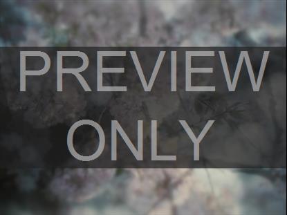 MUTED SPRING BLOOM BOX STILL