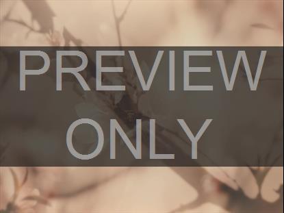 MUTED SPRING BLUSH BOX STILL