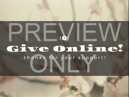 MUTED SPRING GIVE STREAM STILL