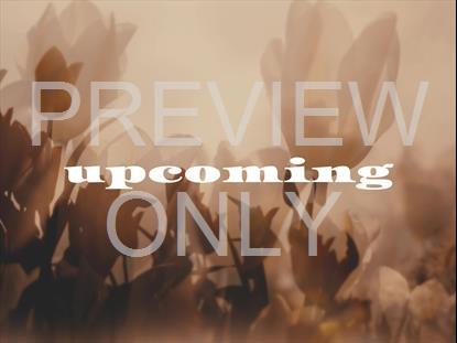 MUTED SPRING UPCOMING STILL