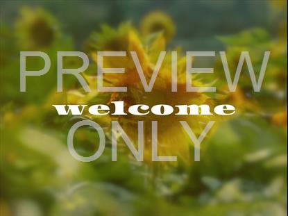 MUTED SPRING WELCOME STILL