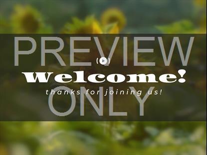 MUTED SPRING WELCOME STREAM STILL