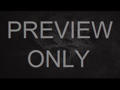 NAME ABOVE TEXTURE BLANK STILL