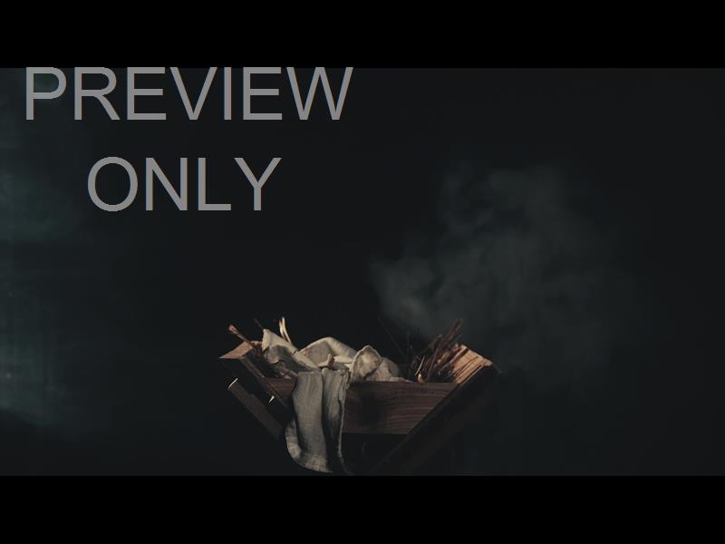 NATIVITY MANGER 2 STILL