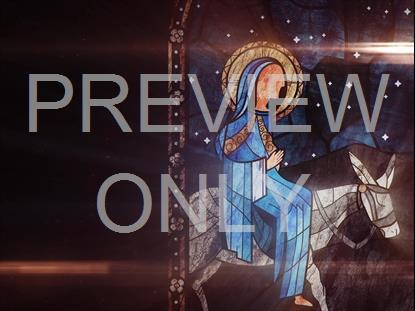 NATIVITY GLASS DONKEY STILL