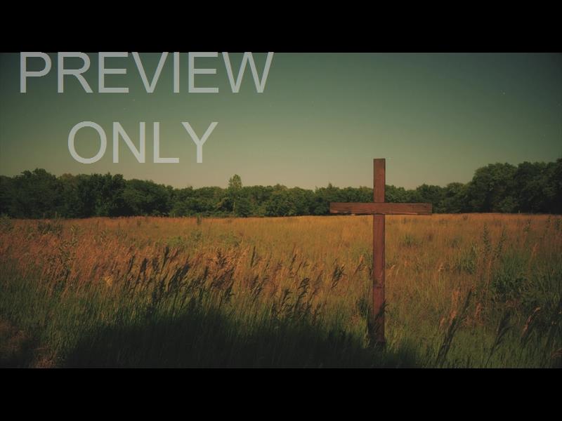 NATURE CROSS 11 STILL