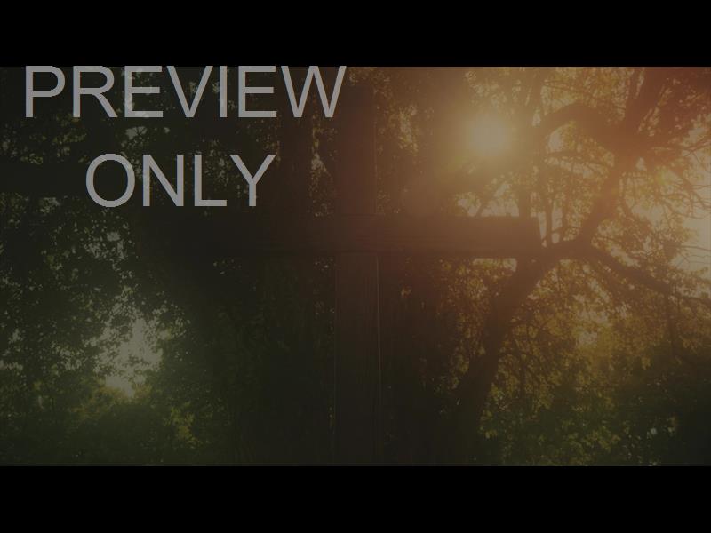 NATURE CROSS 13 ALT STILL