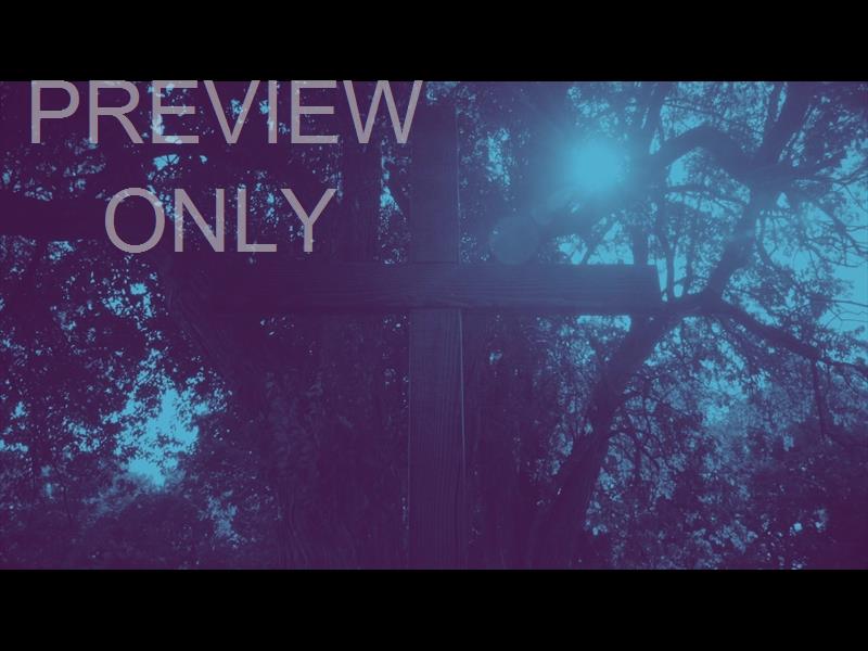 NATURE CROSS 13 DUOTONE STILL