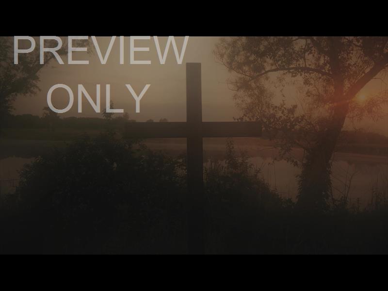 NATURE CROSS 1 ALT STILL