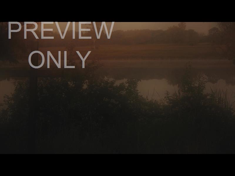 NATURE CROSS 2 ALT STILL