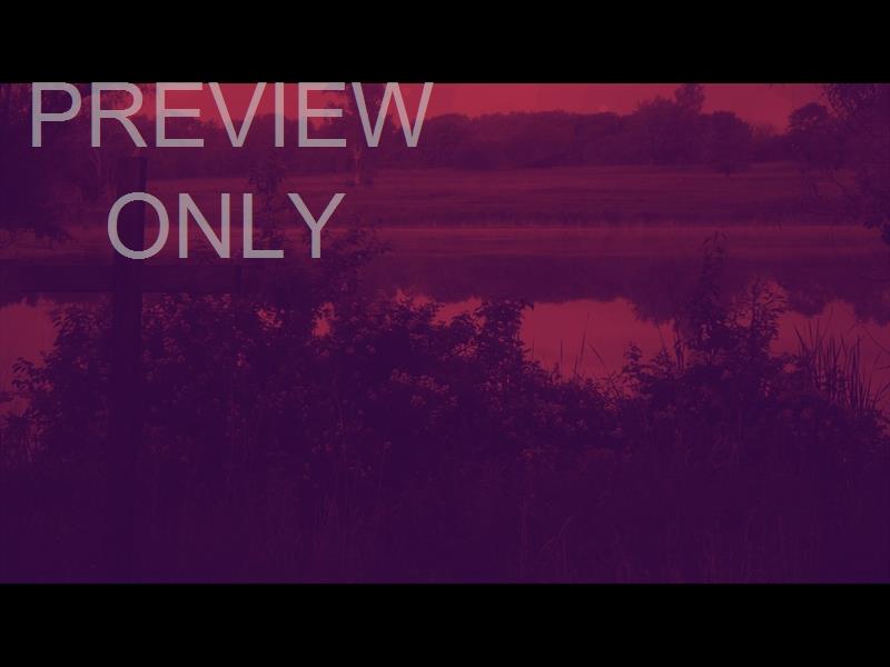 NATURE CROSS 2 DUOTONE STILL