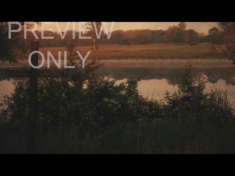 NATURE CROSS 2 STILL