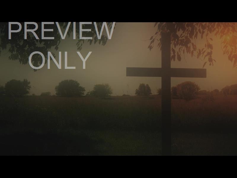 NATURE CROSS 3 ALT STILL