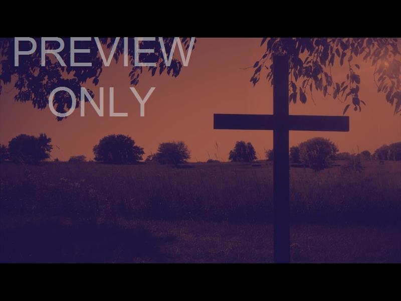 NATURE CROSS 3 DUOTONE STILL