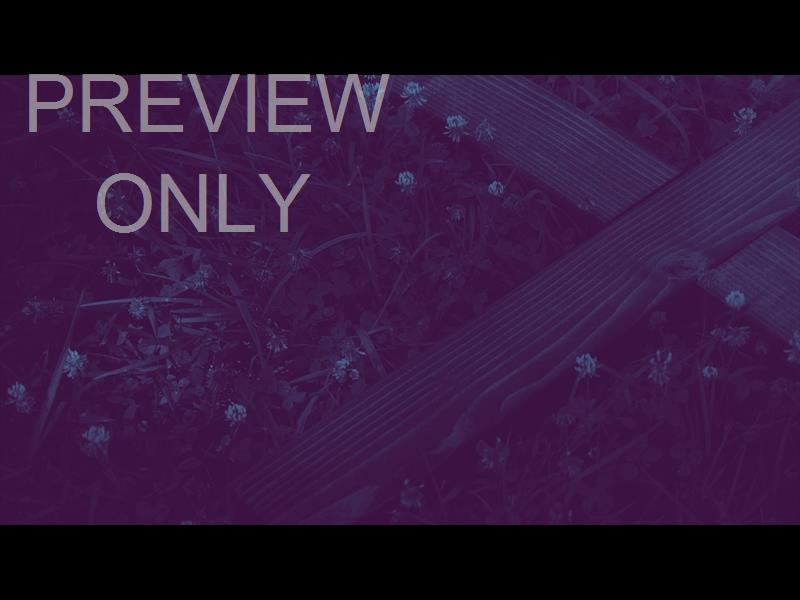 NATURE CROSS 4 DUOTONE STILL