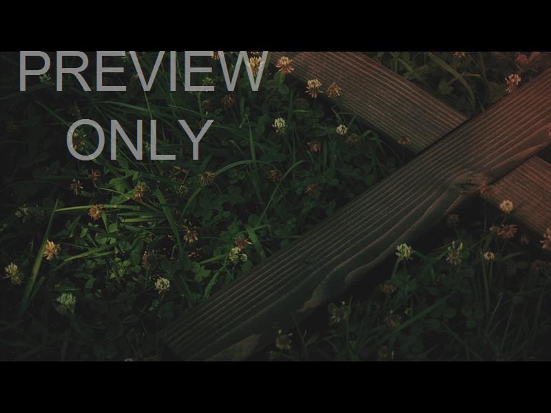 NATURE CROSS 4 STILL