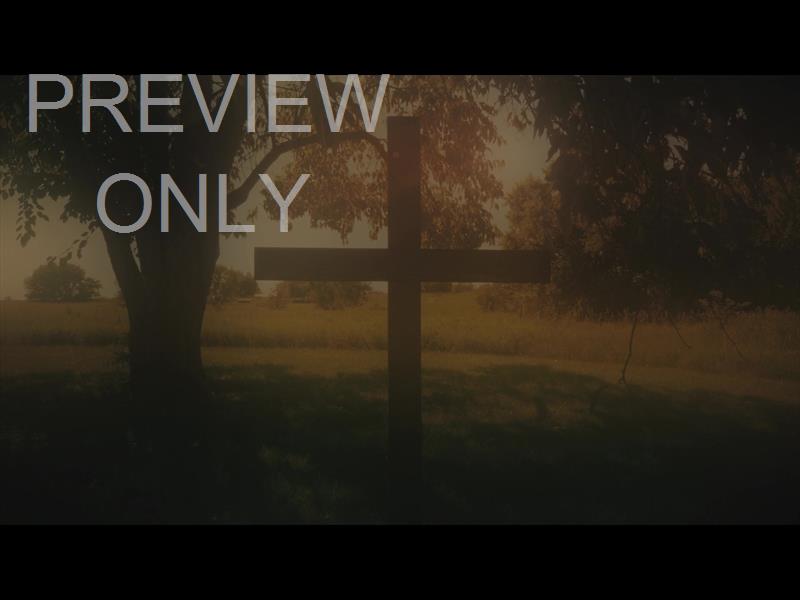 NATURE CROSS 5 ALT STILL