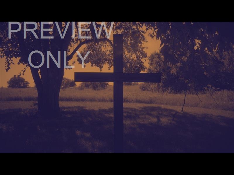 NATURE CROSS 5 DUOTONE STILL