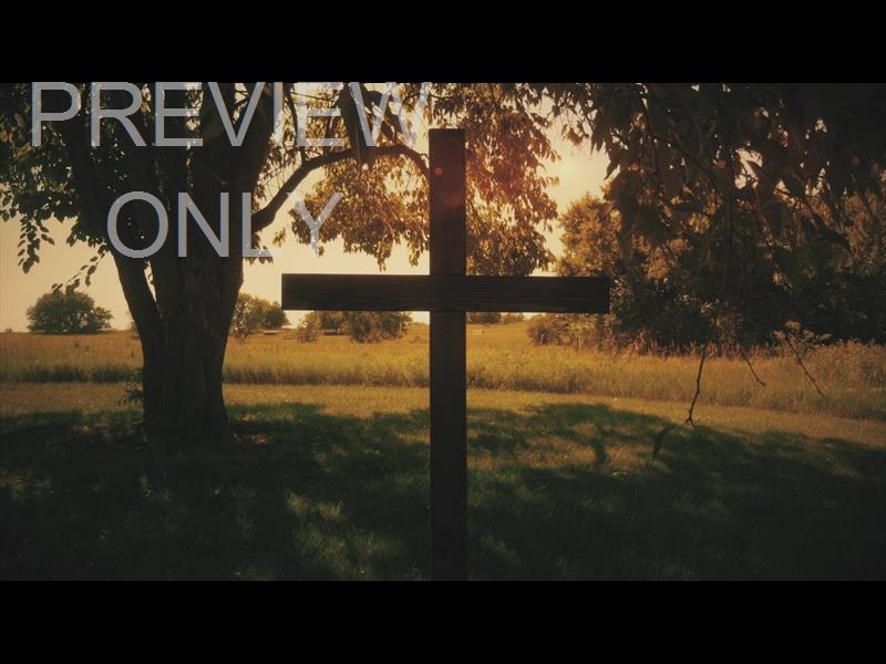 NATURE CROSS 5 STILL