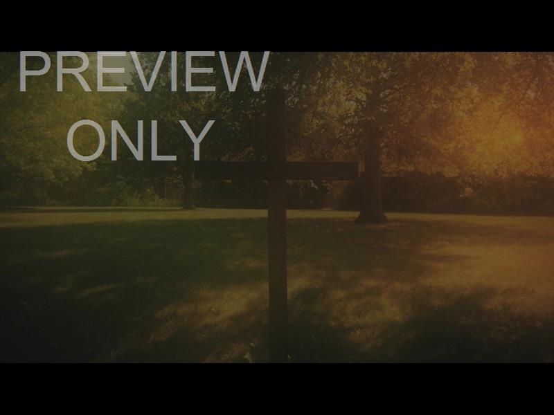 NATURE CROSS 6 ALT STILL