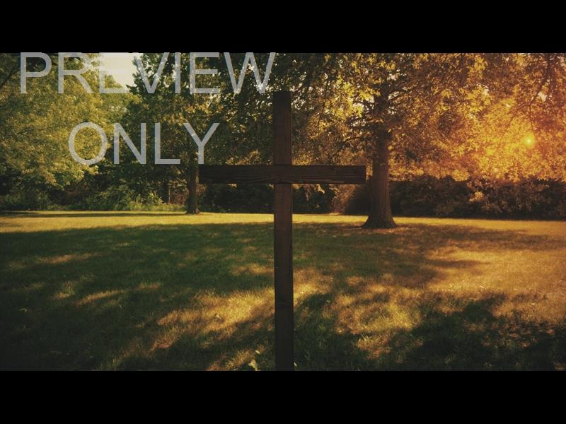 NATURE CROSS 6 STILL