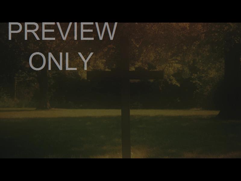 NATURE CROSS 7 ALT STILL