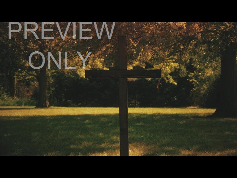 NATURE CROSS 7 STILL