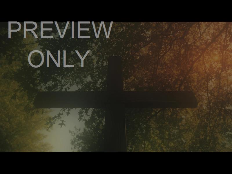 NATURE CROSS 8 ALT STILL