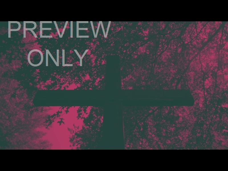 NATURE CROSS 8 DUOTONE STILL