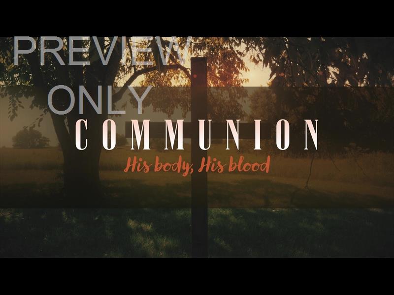 NATURE CROSS COMMUNION STILL