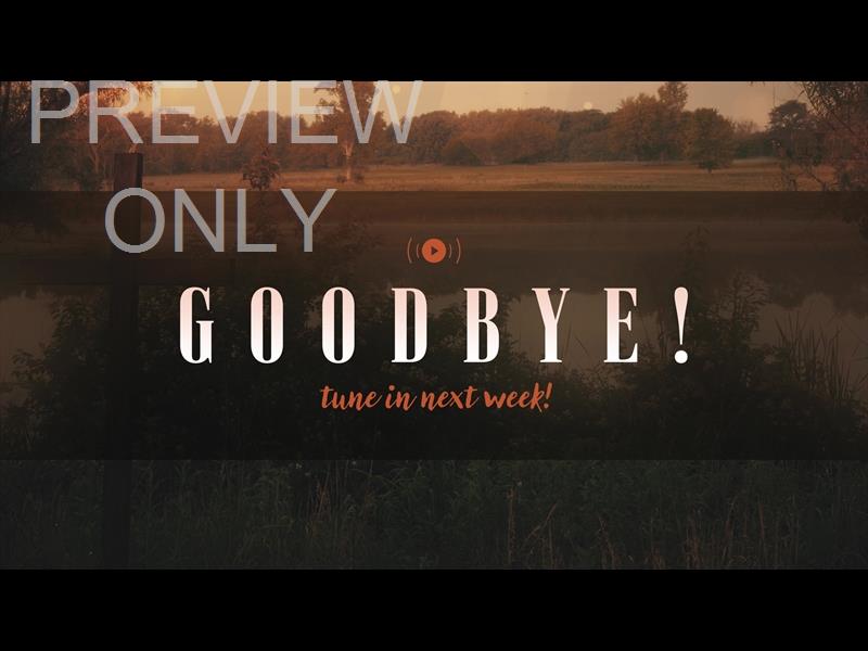 NATURE CROSS EXIT STREAM STILL